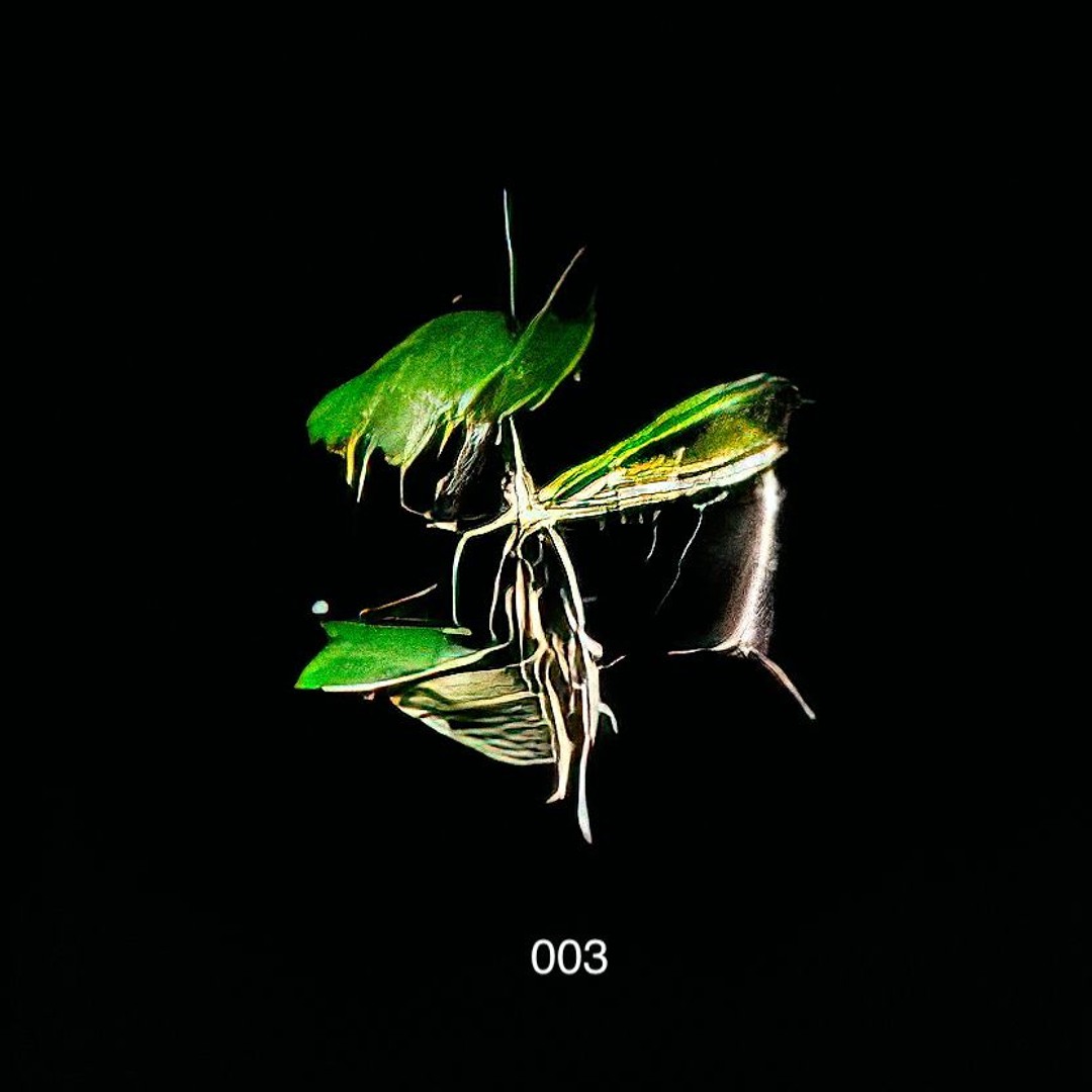 KATSURA / 003