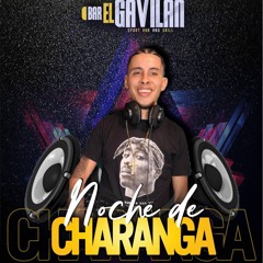 DJ SHORBY BAR EL GAVILAN OROSI CARTAGO CHARANGA PARTY  (1)