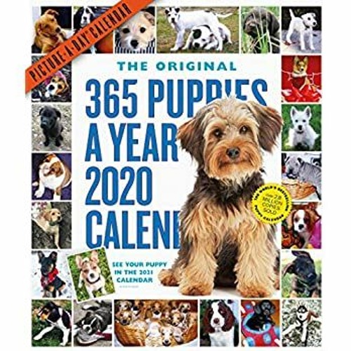 Stream Best 365 Puppies A Year Picture A Day Wall Calendar 2020 Book Pdf Epub By Anggun Listen Online For Free On Soundcloud