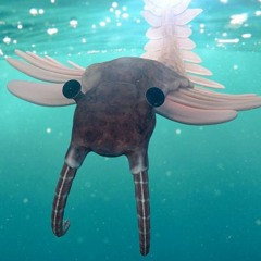 The scary of gota.io