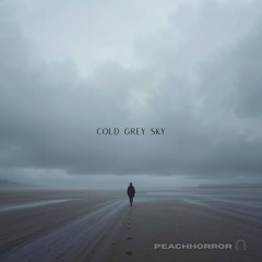 Cold Grey Sky