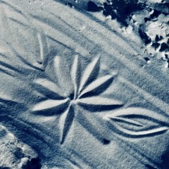 Progressive Lifestyle music selection by Martin Mariani and mix by J N.mp3