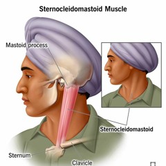 SAFARI 2 (feat. Ibrhhh)