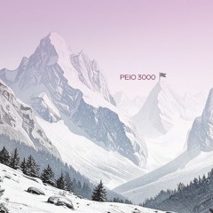 PEIO3000