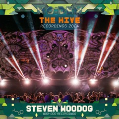 STEVEN WOODOG @ The Hive | MoDem Festival 2024