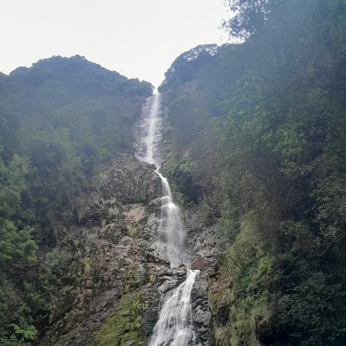 life and they're journeys