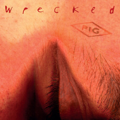 Fuck Me I'm Sick (Remastered 2024)