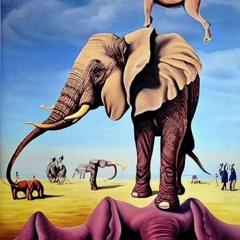 The Zoo One