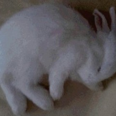 Slumber(ASMR)