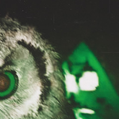 Not In Love (prod. Abhay)