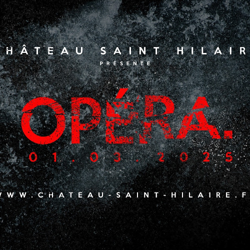 Live Mix 01 03 25 Soirée OPERA @ Chateau St Hilaire with Dj Nicus The Disrupt & Mikeandtess PART 1