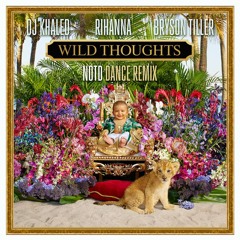 Wild Thoughts (NOTD Dance Remix) [feat. Rihanna & Bryson Tiller]