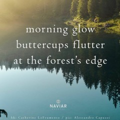 Morning, sunshine [naviarhaiku491 - morning glow]