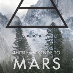 Thirty Seconds To Mars - The Kill (Bury Me)