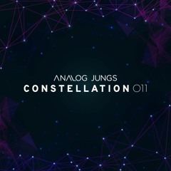 Analog Jungs @ Constellation 011