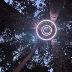 Into The Junkyard : a Sound Experiment