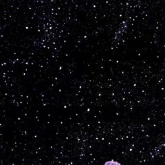 i wish i had more pictures of you 2