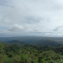 Sing - The Carpenters (cover)