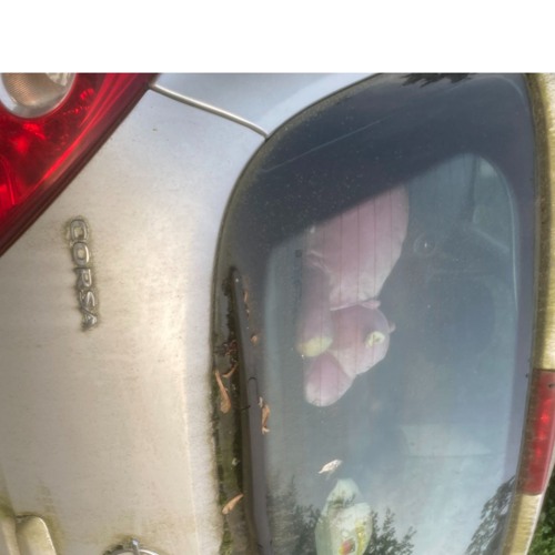 TRAKA — Ruaumoko (Akïi YUKU Remix Challenge Entry)