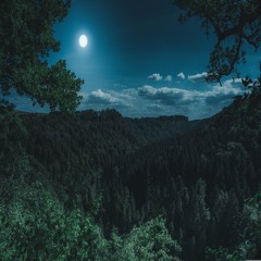 LA LUNA Y YO