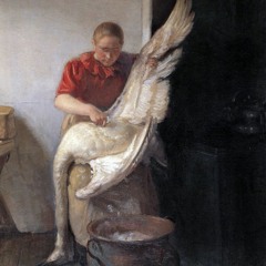 سنا برزنجی - کمره شل