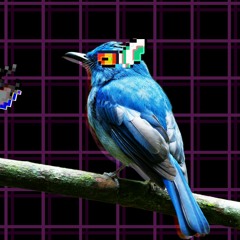 Berdly Theme|Smart Race - FOAW Remix