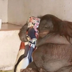 forget you (2020 reupload)