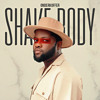 Skales - Shake Body (Onderkoffer Amapiano Remix) artwork