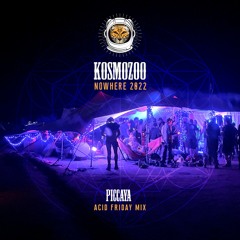 Piccaya @ Kosmozoo // Nowhere 2022 - Acid Friday Mix