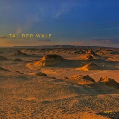 Tal Der Wale | MS2