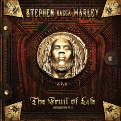 Babylon (feat. Junior Reid & Dead Prez)