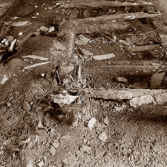 ZONA Part 6 - Swarms III: Last judgment (binaural mix)
