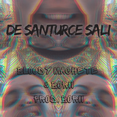 DE SANTURCE SALI // BLOODY MACHETE & BORII