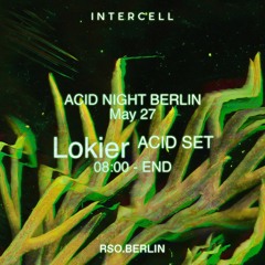 Lokier [acid set] at Intercell - Acid Night - RSO Berlin 2022