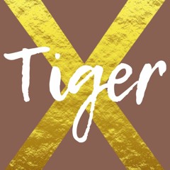 Tiger X. Episode 8. Owen Pitch