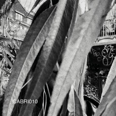 [Cabri010] Zip & Baby Ford - Morning Sir (Cabri REWORK)