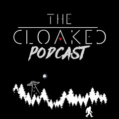 Episode325 Birds Arent Real