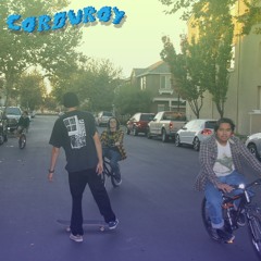 Corduroy