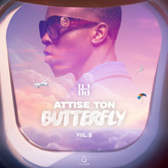 DJ ZERFLY - ATTISE TON BUTTERFLY VOL.3