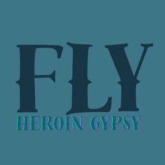 Fly