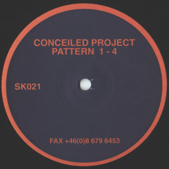 Conceiled Project - Pattern 3