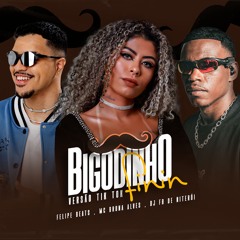 FELIPE BEATS & BRUNA ALVES - BIGODIN FININ ( DJ FB DE NITEROI  ) VERSAO TKT