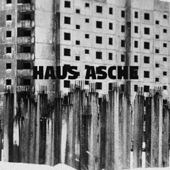 Haus Asche - Megalodon [Welofi]
