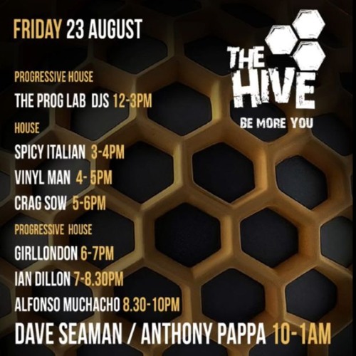 Ian Dillon Live From The Hive Arena Solfest 2024