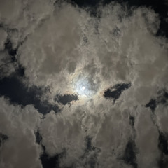 أنا معَك لو كل هالدنيا عليك | منصور بن فهَد .