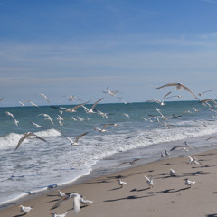 La symphonie des éclairs