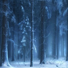 NIKSILVER - The Last Snowfall