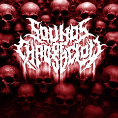 The Carnage | Feat. Joel Gilsdorf | Brutal Death Metal