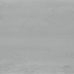 Fleet Foxes - Can I Believe You (Acoustic Cover)