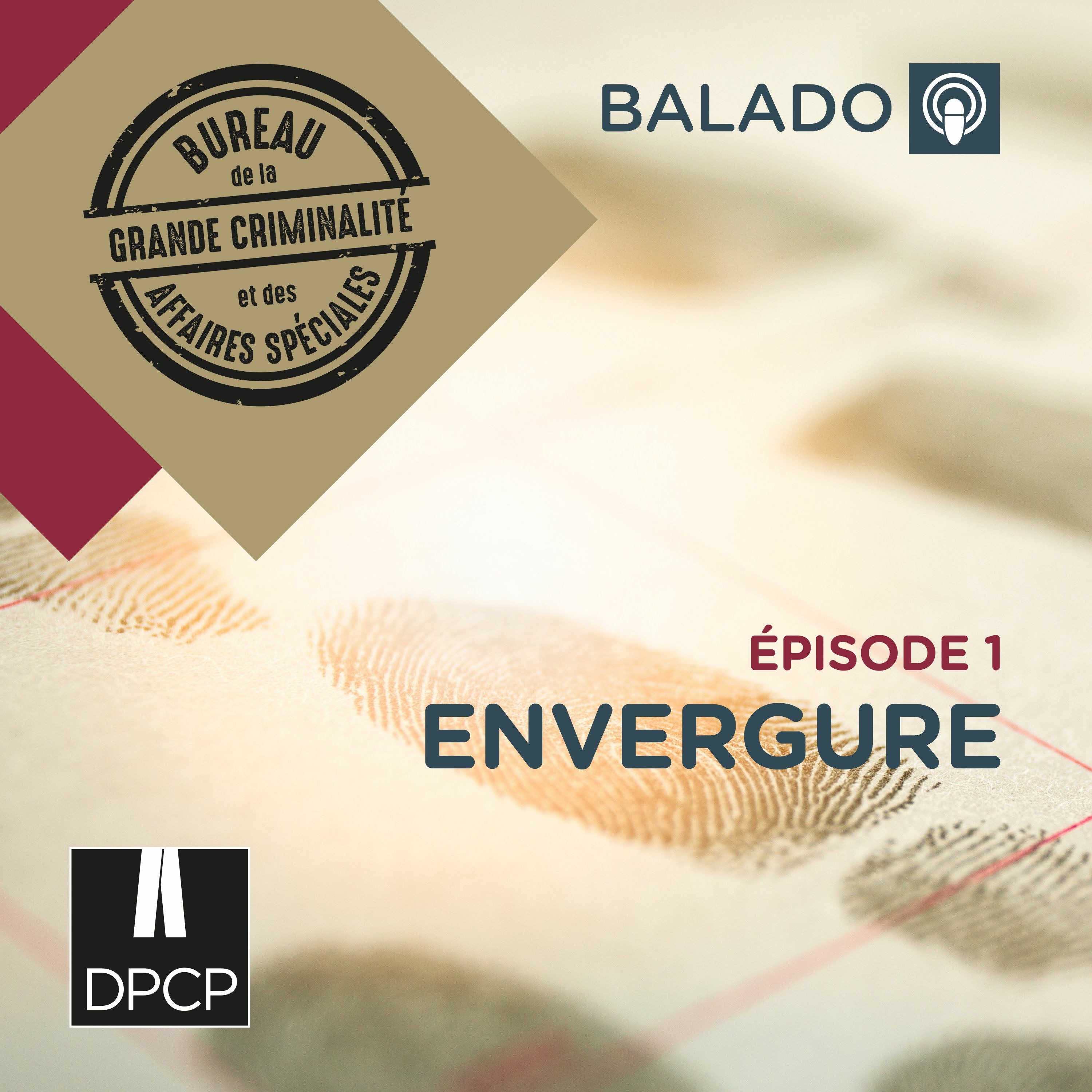 Directeur des poursuites criminelles et pénales